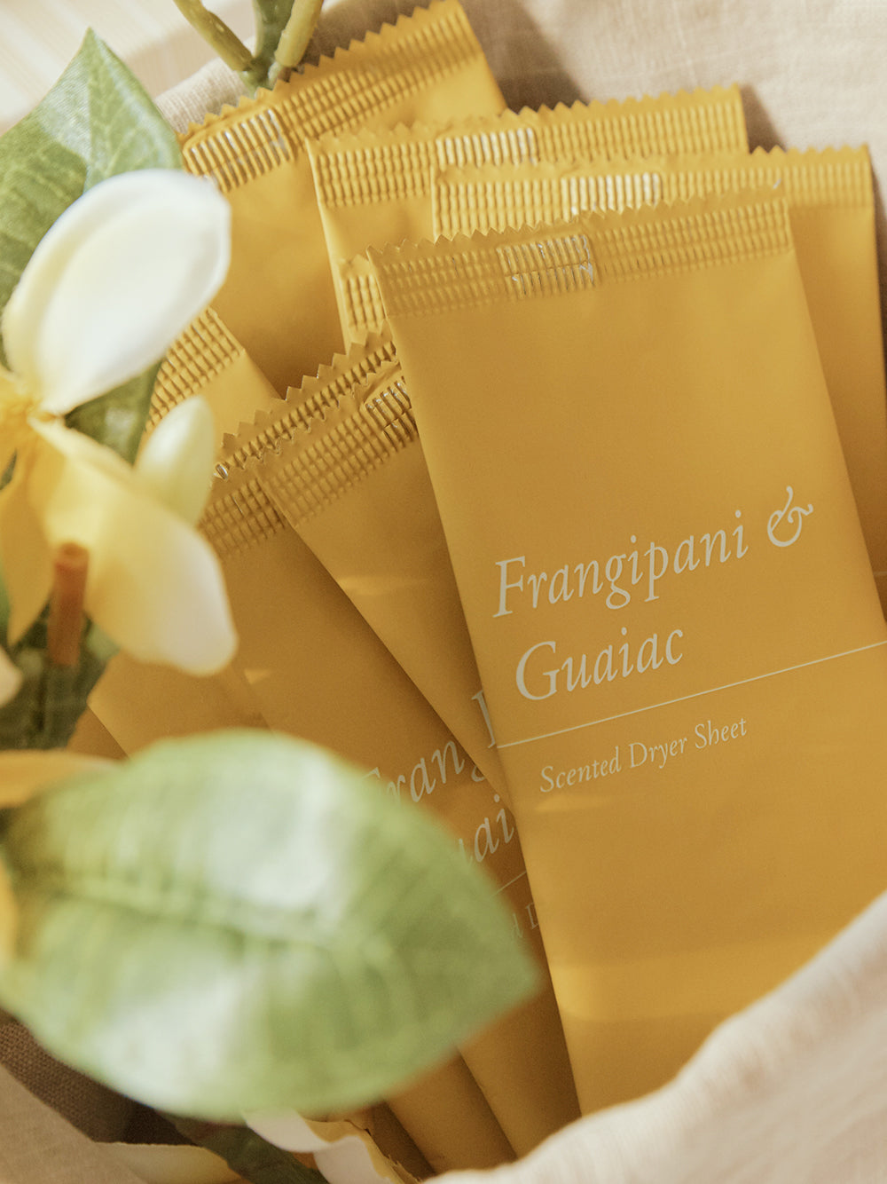 香氛烘衣紙 緬梔花 &amp; 癒創木 40張入